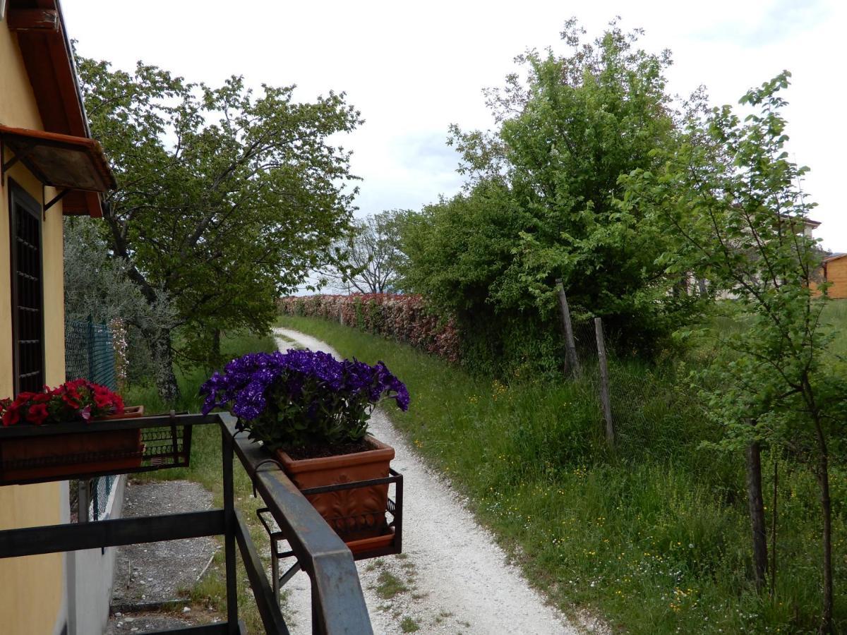 Bed and Breakfast Il Gelsomino Frasso Sabino Экстерьер фото